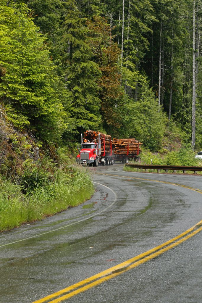 Castle Rock is at the heart of Washington timber country in the Pacific temperate rain forest. 